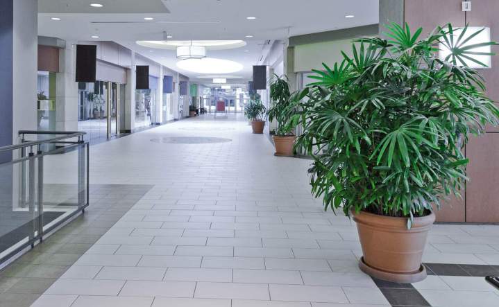 Commercial Flooring Mississauga